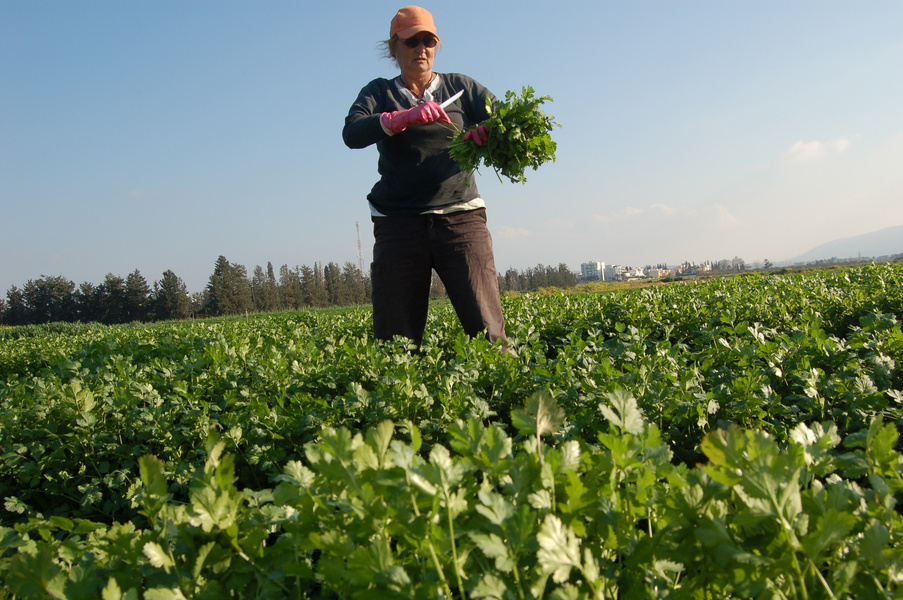 Agricultural