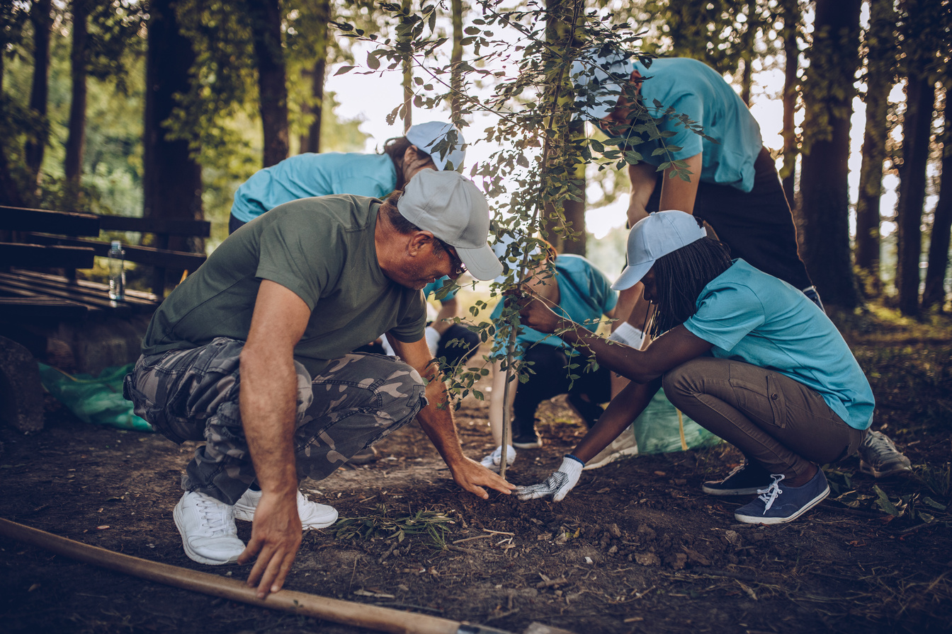 People Planting Tree